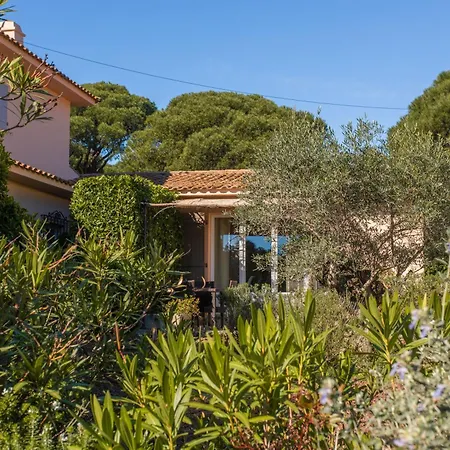 Olivier - Mas Du Soleil 아파트 *