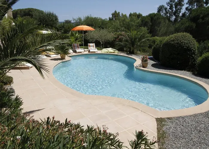 Olivier - Mas Du Soleil *