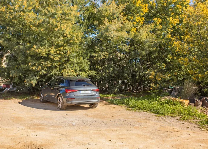 Olivier - Mas Du Soleil 아파트 *